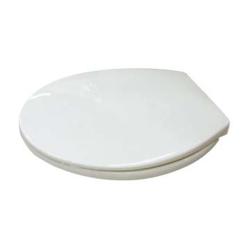 Round Front Toilet Seat in White