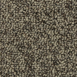 Quiet Beige Carpet Sample